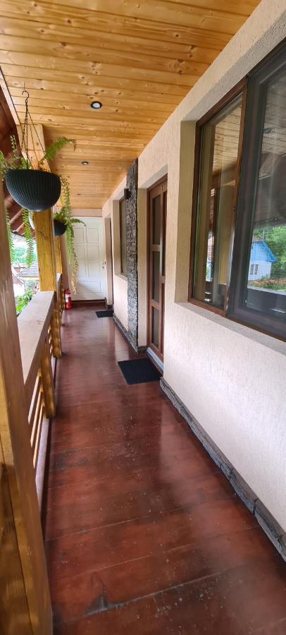 Casa Edy Hotel Sovata Bagian luar foto
