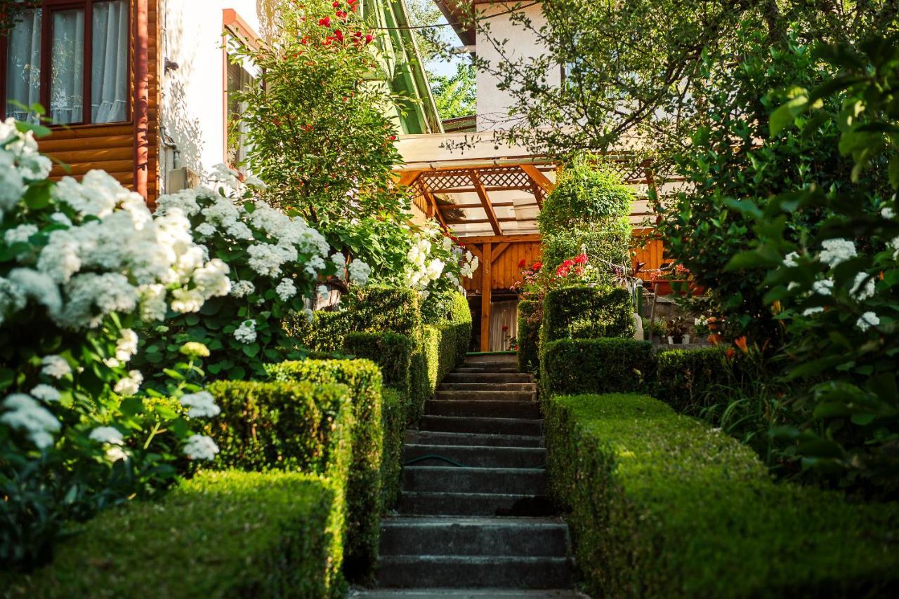 Casa Edy Hotel Sovata Bagian luar foto