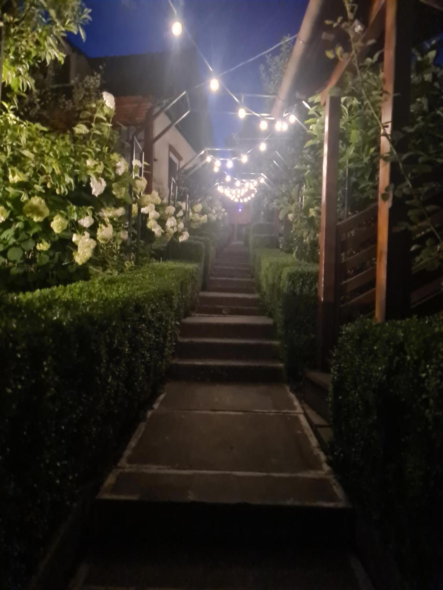 Casa Edy Hotel Sovata Bagian luar foto